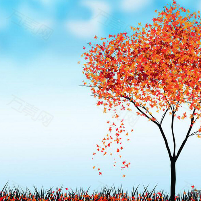 唯美秋季枫树背景图