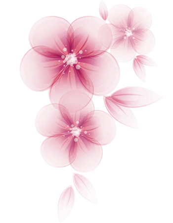 水彩粉色花朵