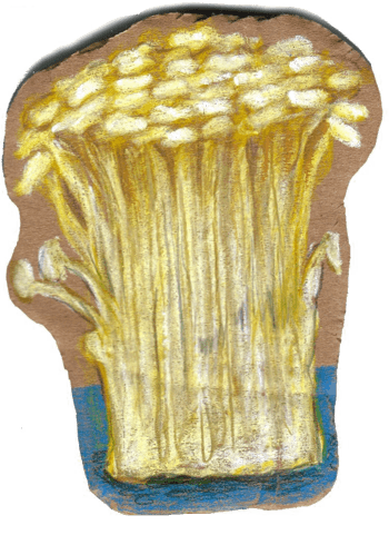 金针菇手绘