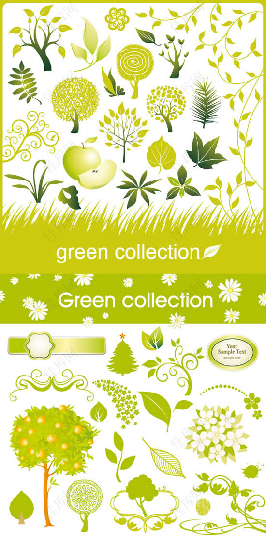 绿色植物图集