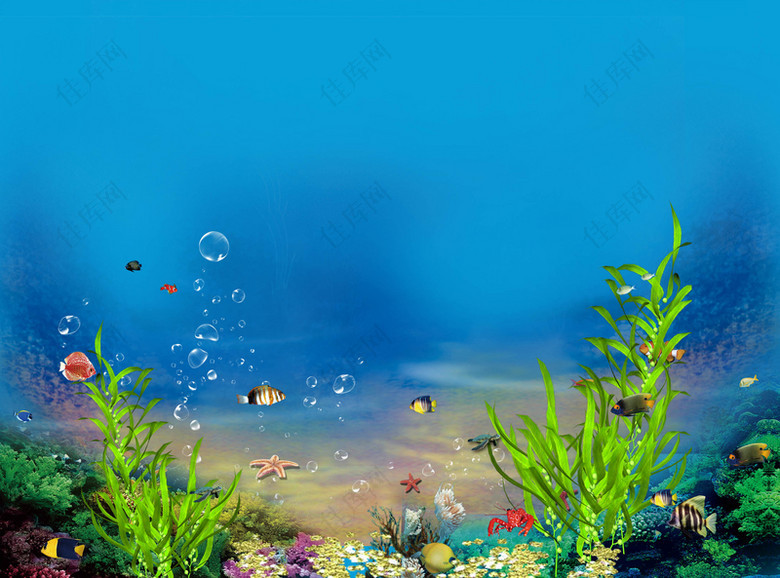 海底世界珊瑚海草海报背景元素