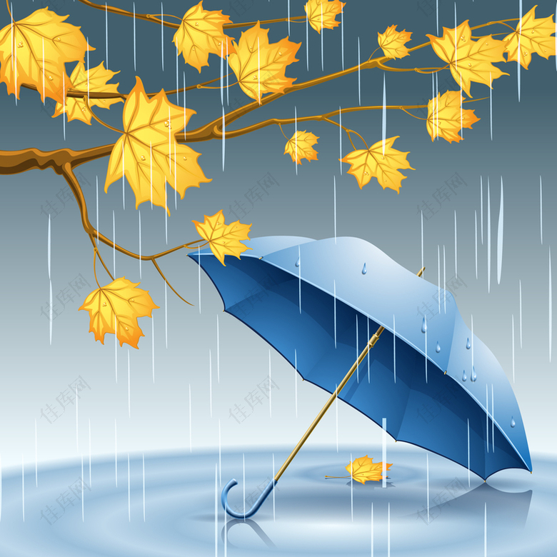 蓝色雨伞下雨梧桐树叶背景素材