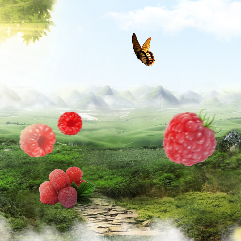 树莓保健品食品风景主图