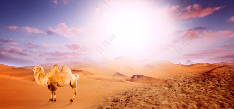 骆驼沙漠黄昏海报背景素材