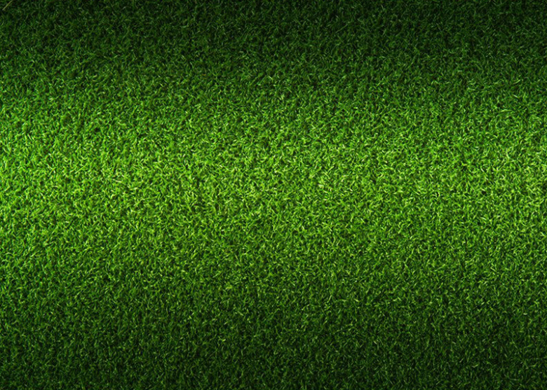 绿色纯草坪背景图
