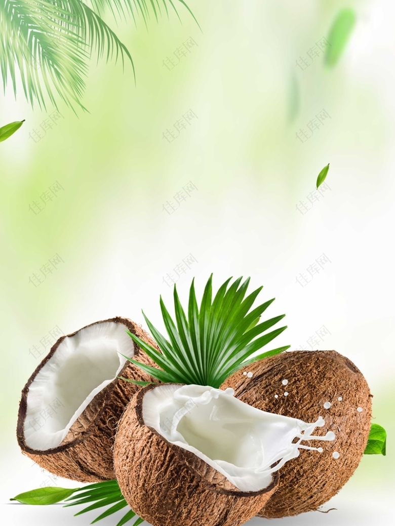 夏天椰子背景图片