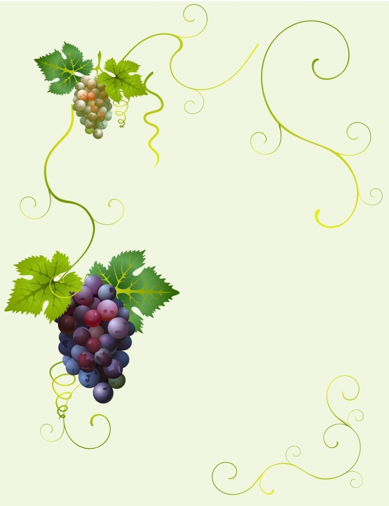 矢量手绘美食葡萄藤葡萄酒背景素材