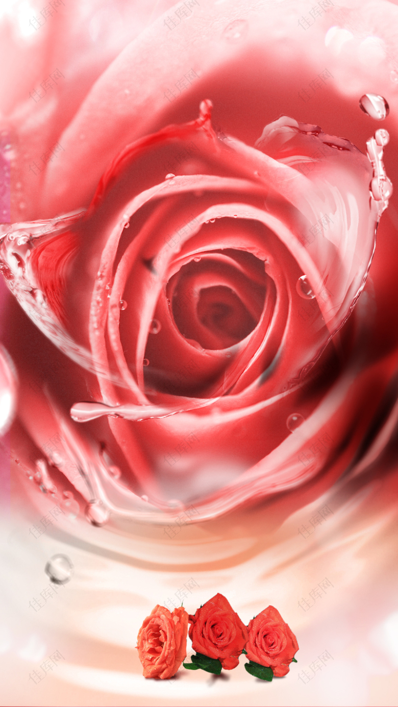 粉色玫瑰花香水PS源文件H5背景素材
