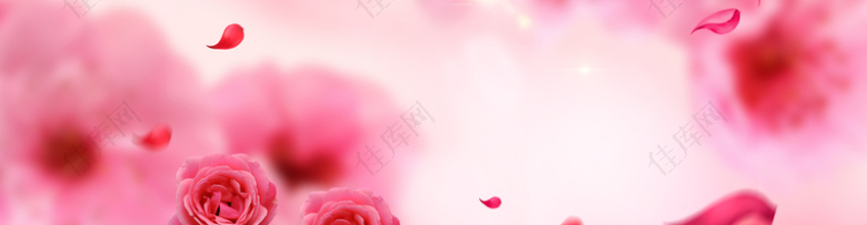 红色玫瑰背景banner