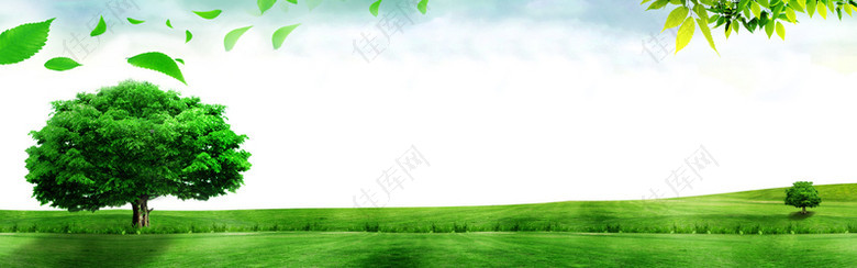 绿色大树风景海报