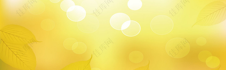 秋季金黄色树叶背景banner