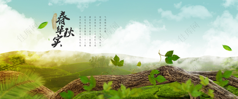 自然风景山谷茶叶海报背景