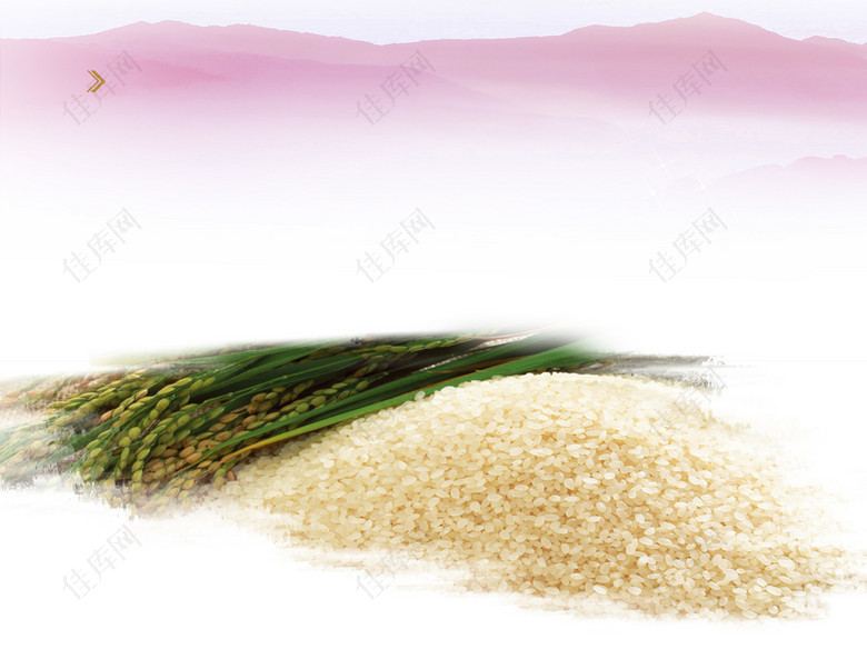 清新米饭稻谷红色背景素材