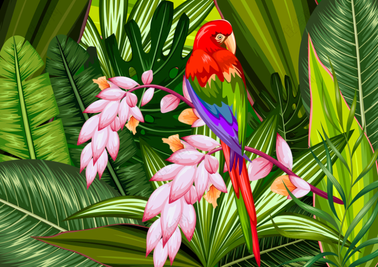 热带动植物海报
