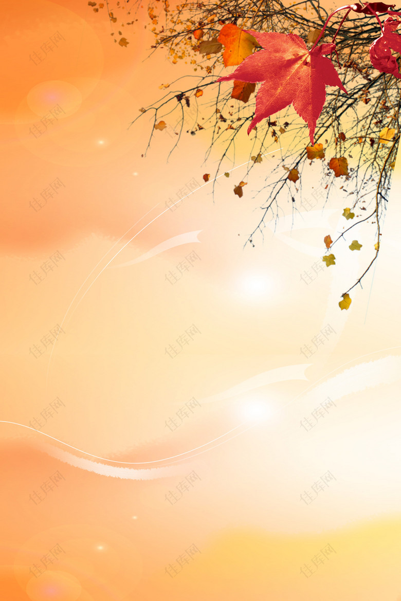 暖色秋意枫叶背景素材背景图片素材 佳库网