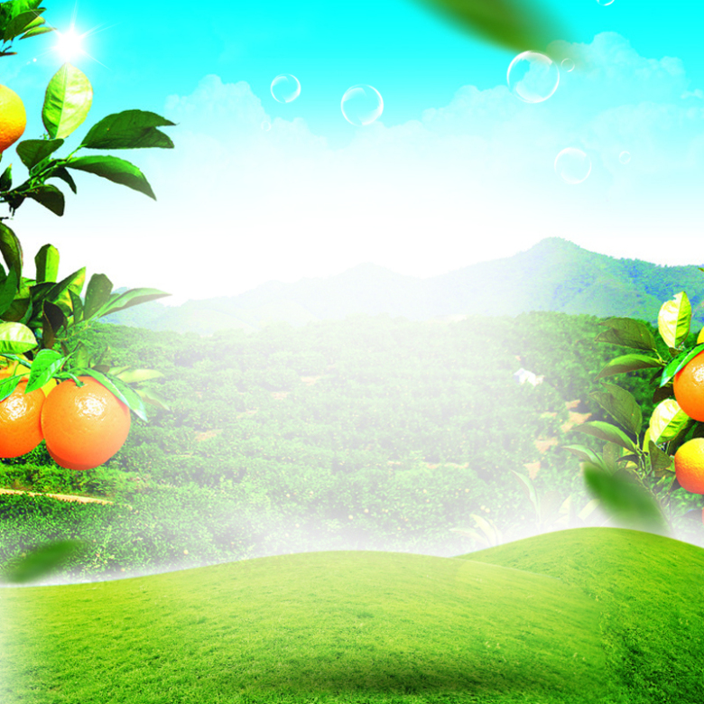 草地风景水果橙子PSD分层主图背景素材