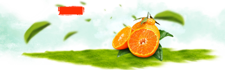 橙子绿色水果扁平banner