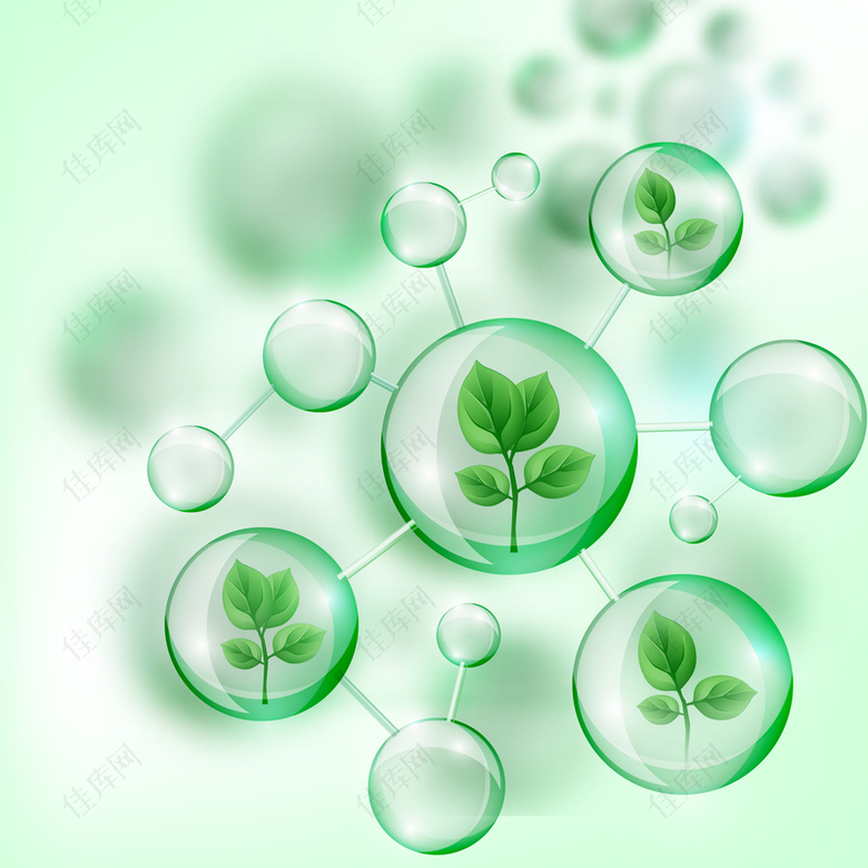 绿叶水泡