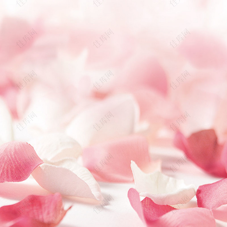 朦胧粉红色花瓣背景