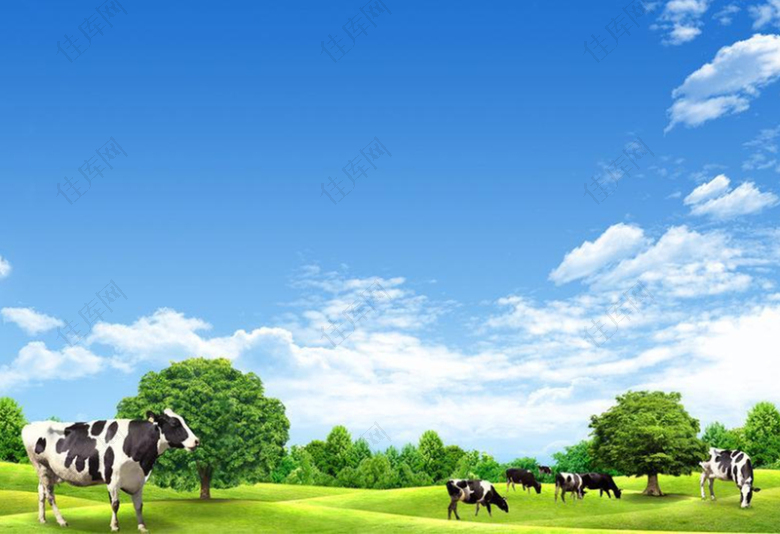白云云朵蓝天草地奶牛背景素材