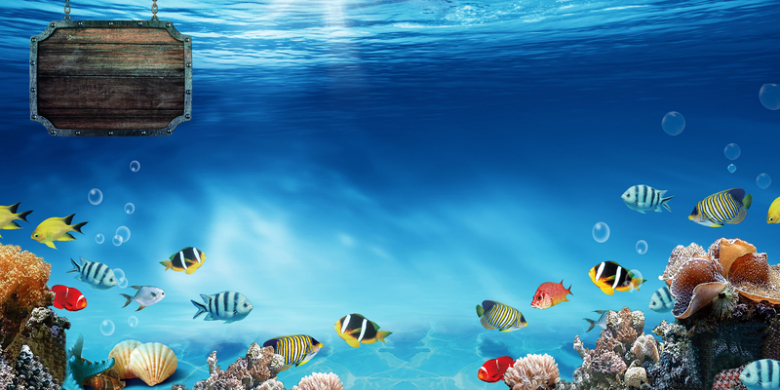 唯美海底世界海洋素材海报背景模板