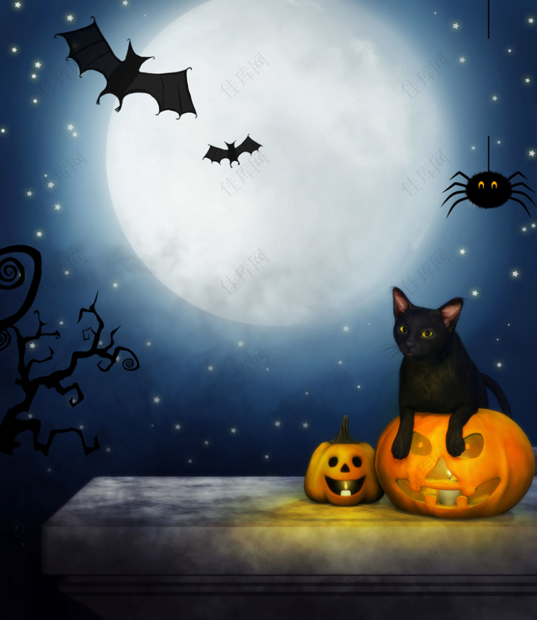 月色下的黑猫万圣节海报背景psd