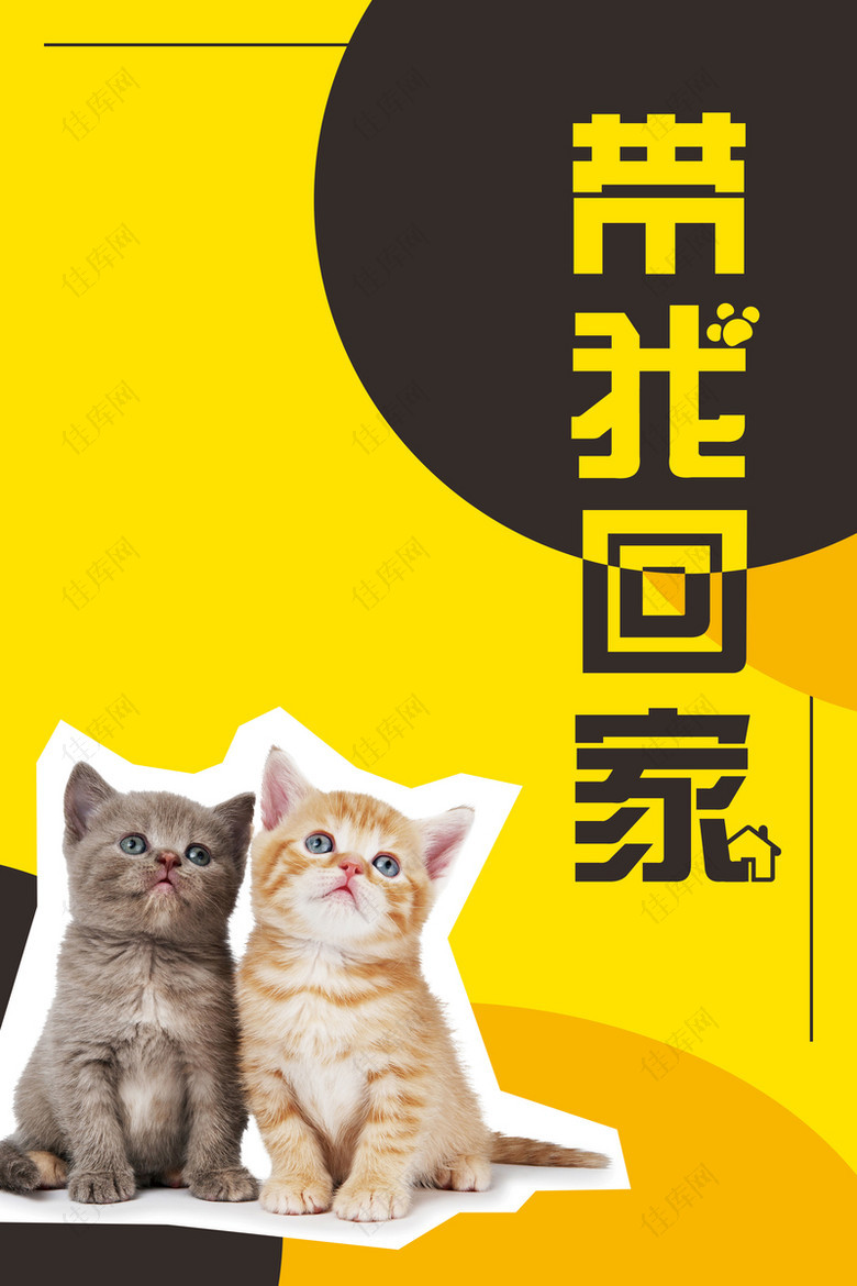 宠物领养公益宣传海报背景psd