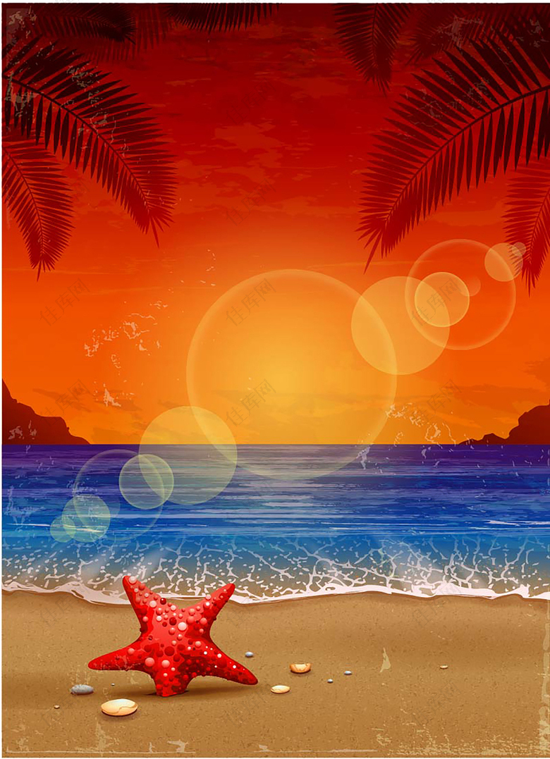 椰子树海滩贝壳沙滩海报背景