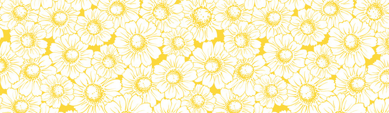 黄色雏菊图案背景