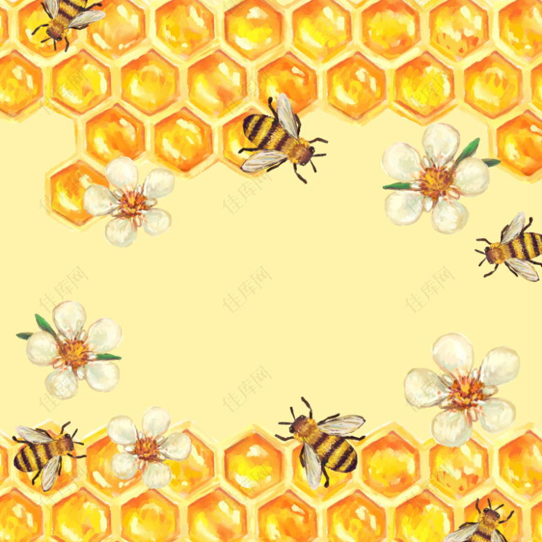 手绘蜂巢与花和蜜蜂