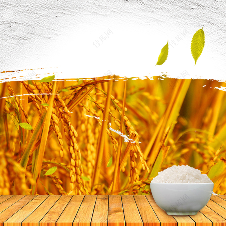 黄色稻米粮油米面PSD分层主图背景素材