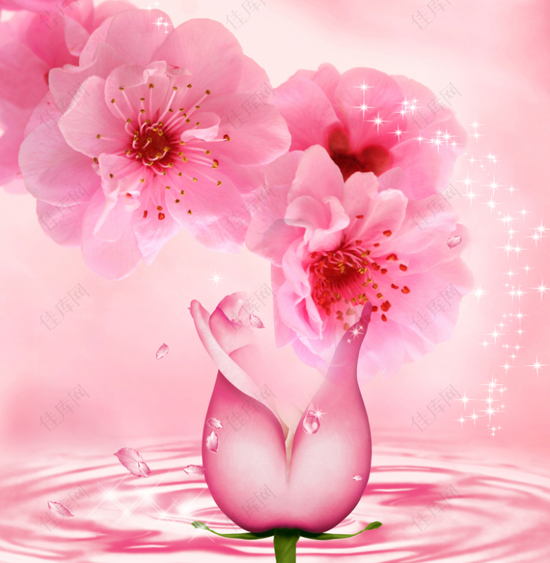 粉色花朵海报背景素材