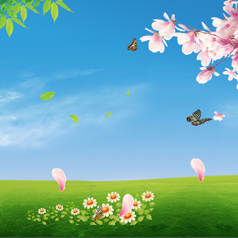 蓝天草地盛开的桃花花瓣主图背景