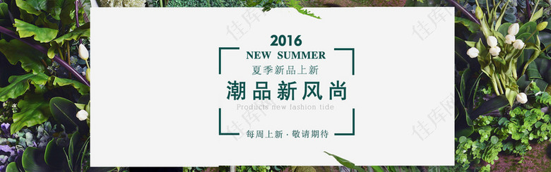 绿色小清新夏季女装上新banner