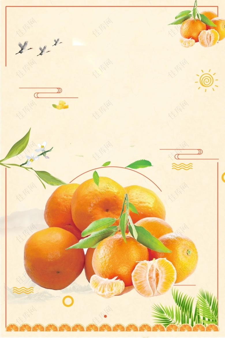 小清新新鲜蜜桔水果海报