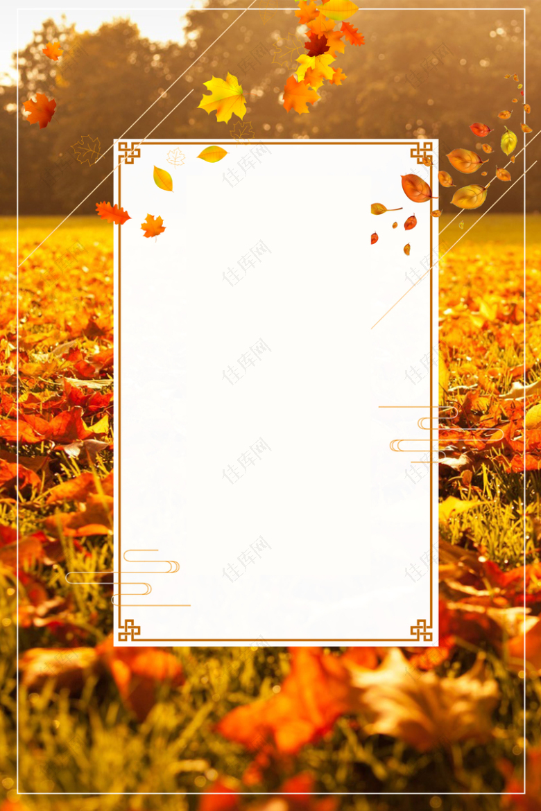 立秋黄色树叶海报