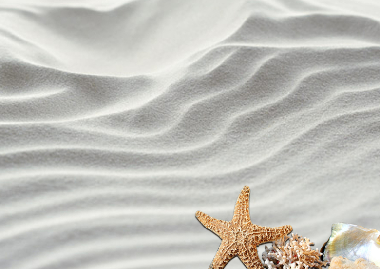 沙滩海星背景图