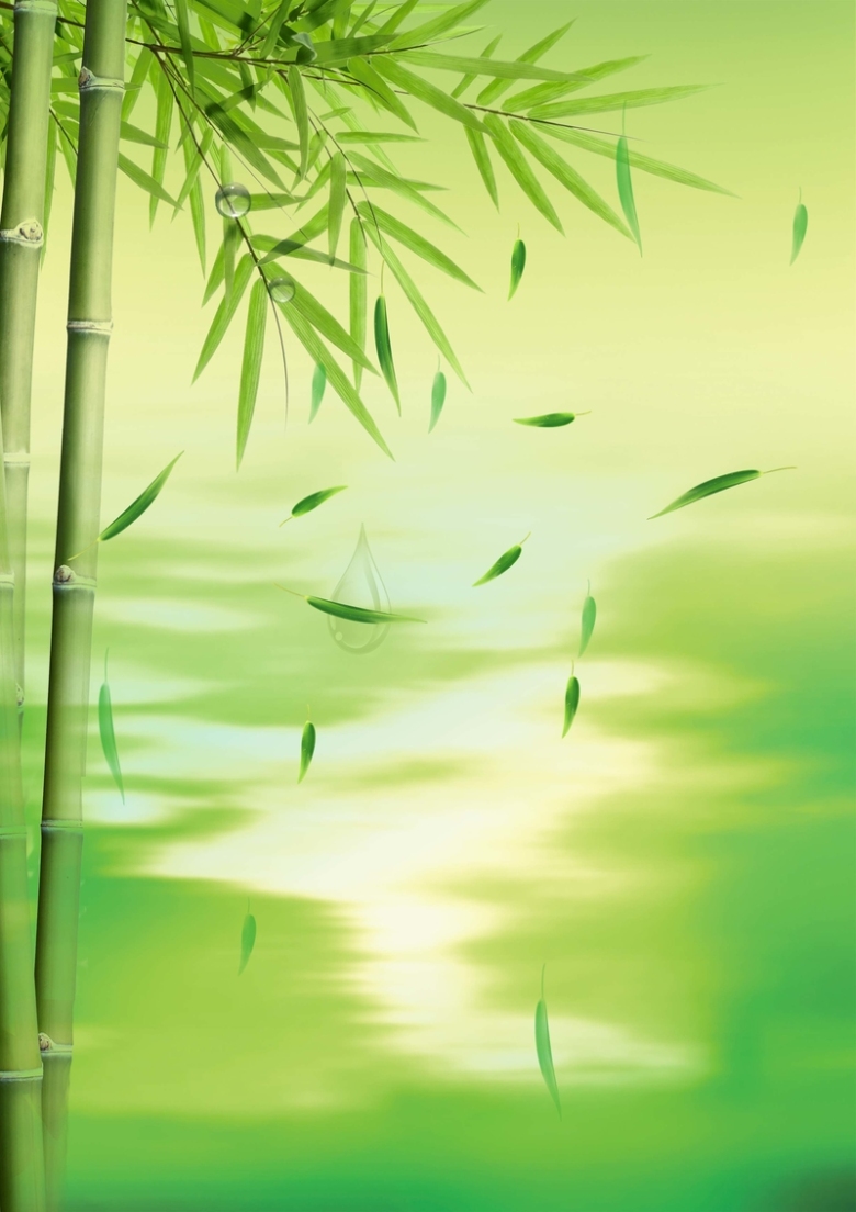 竹子绿色海报背景素材