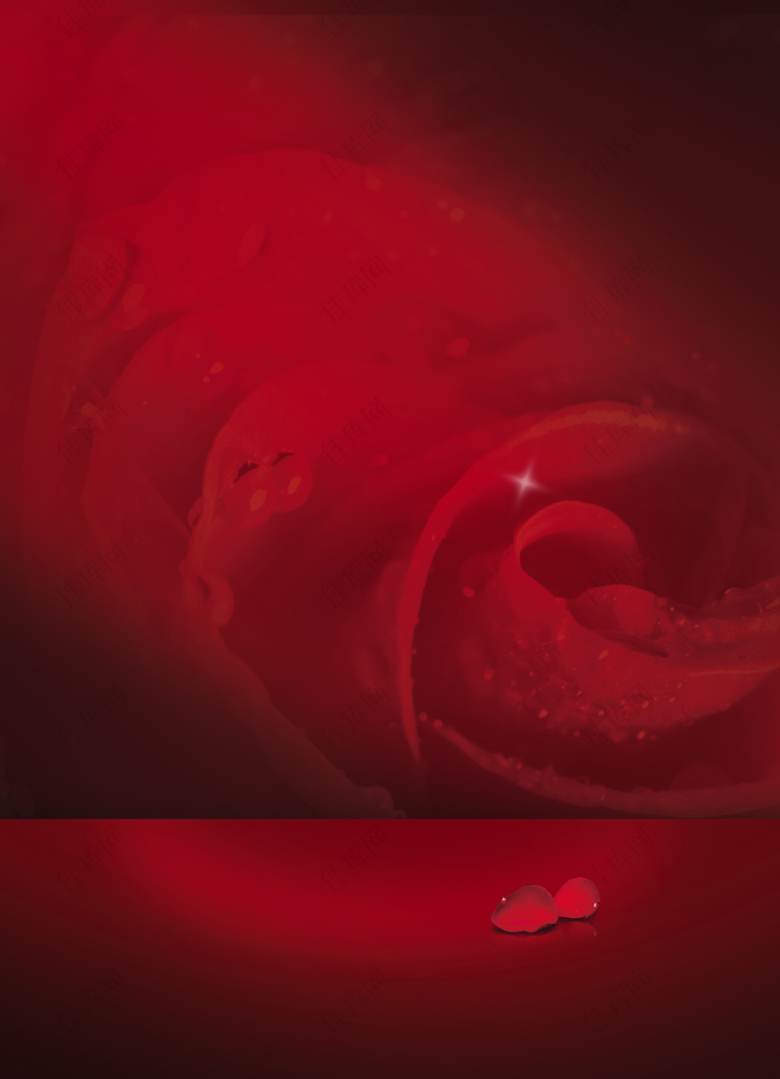 红色玫瑰花背景素材