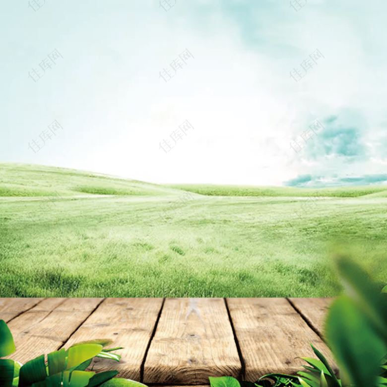 蓝天白云云彩草地地板绿叶光创意背景