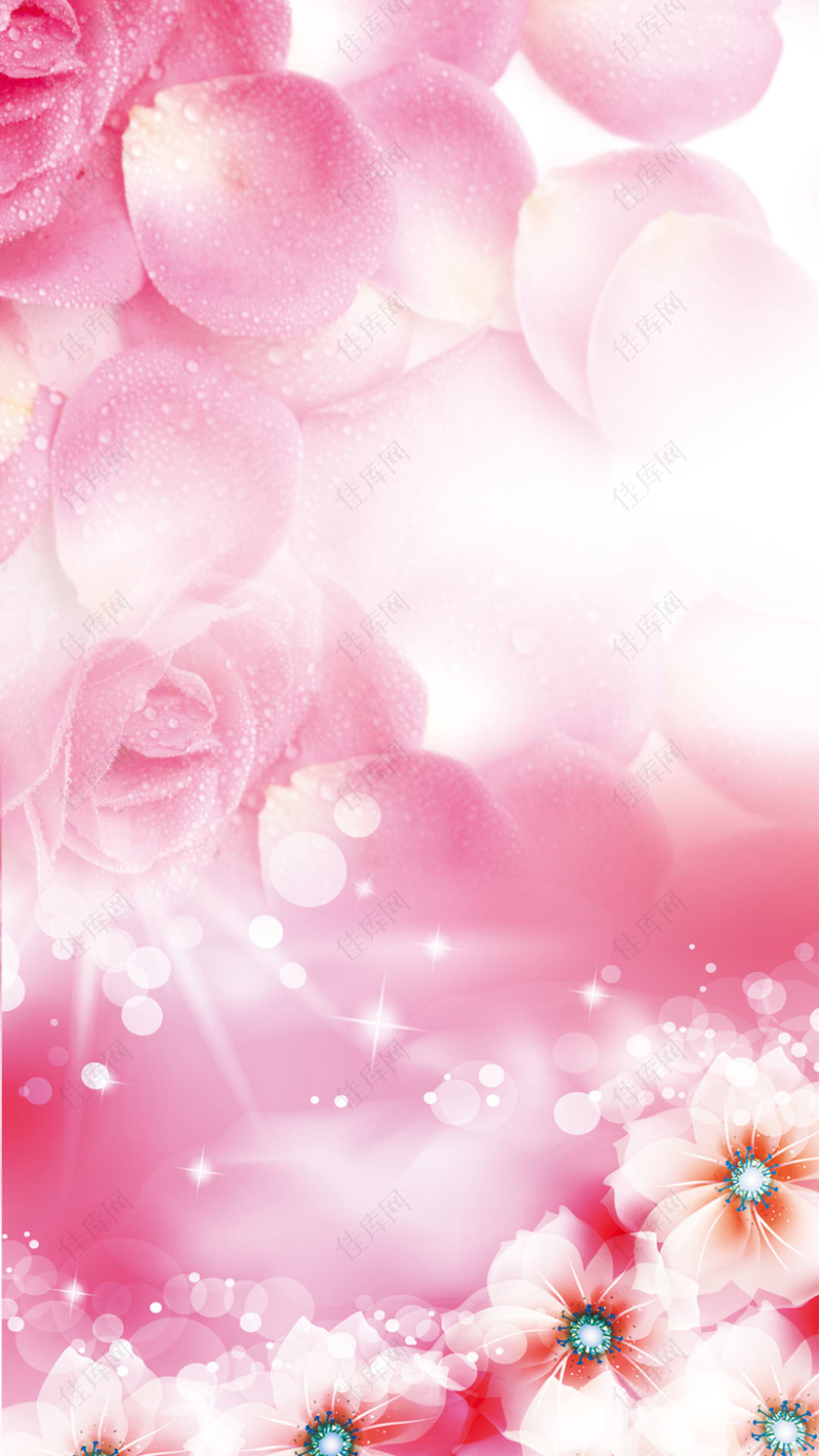 浪漫粉红玫瑰H5背景素材