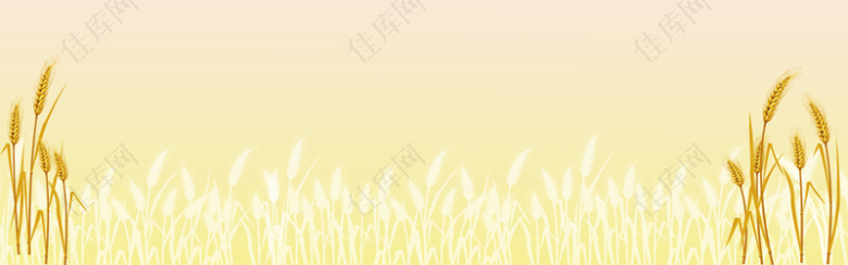 丰收的小麦背景