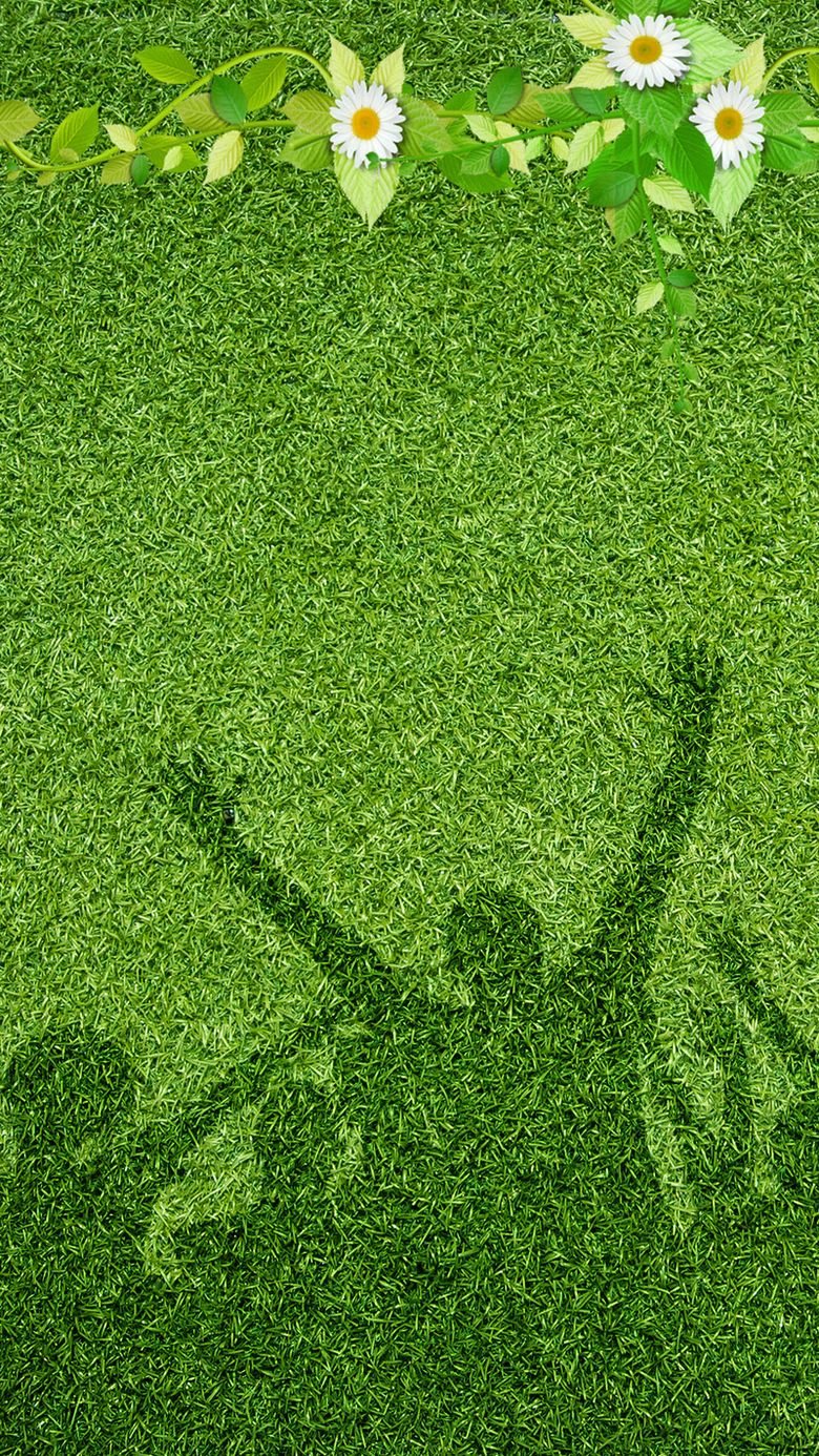 绿色草坪人物背景花朵世界青年节