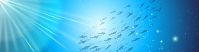 夏日鱼群潜水风景矢量图