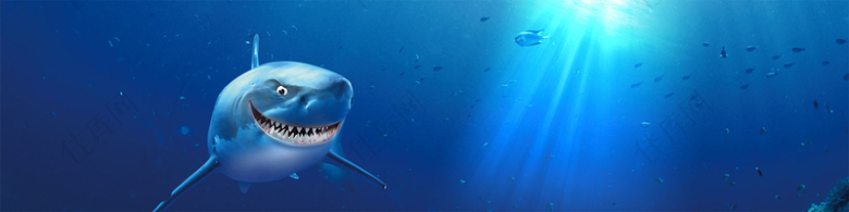 蓝色鲨鱼背景