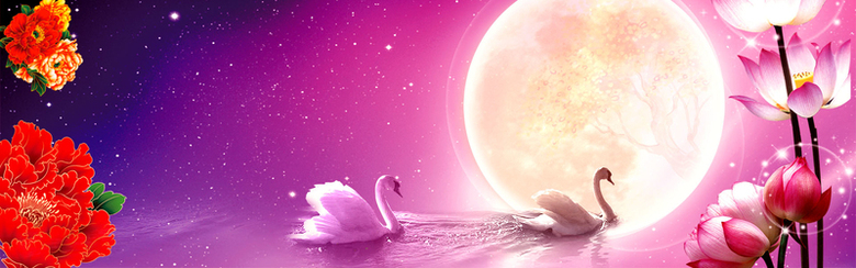 中秋月亮牡丹花背景