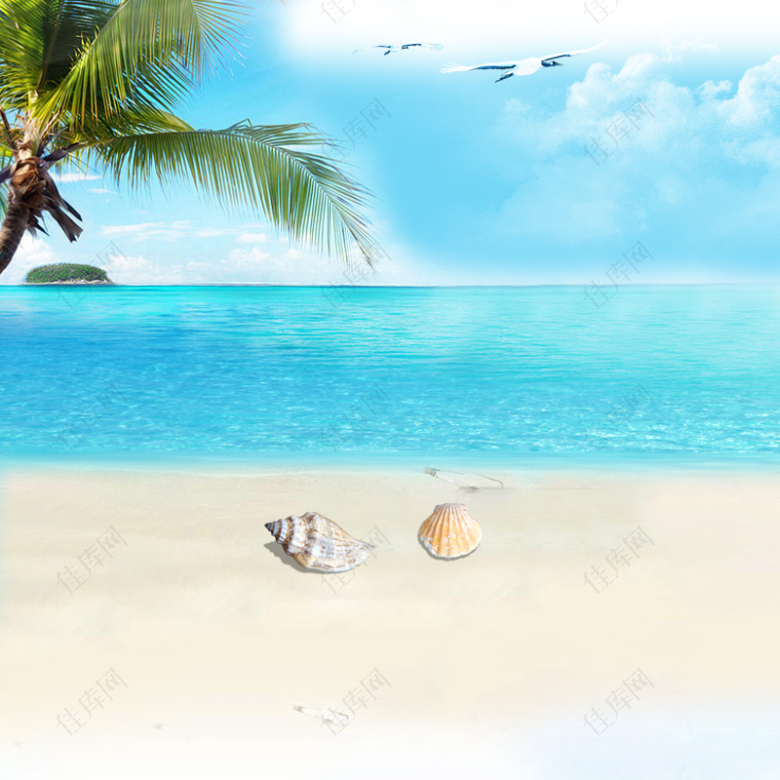 夏日清新沙滩贝壳椰树背景