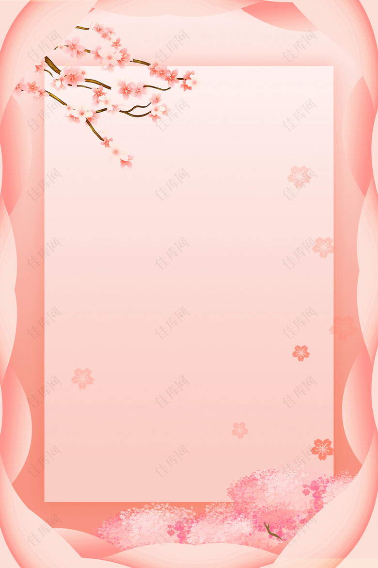 粉色的背景樱花枝