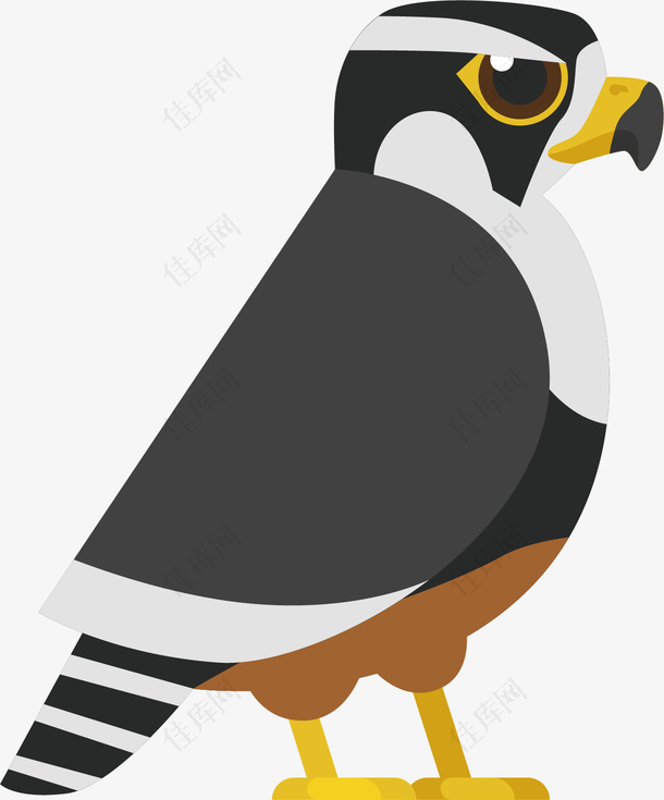 矢量图威武的斑鸠鸟