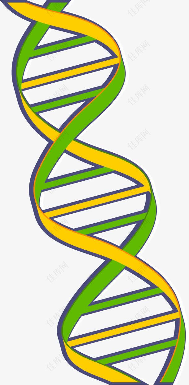 黄绿色化学分子DNA
